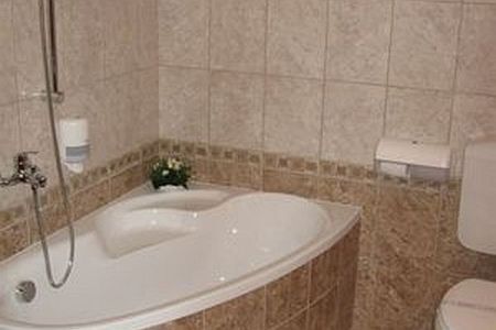 Narad Park Hotel in Matraszentimre - bathroom with shower
