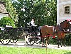 Castle hotels in Hungary - horse carriage ride in Hungary - Hedervary Castle Hotel 