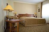 Business room in Wellness Hotel Aranyhomok Kecskemet