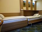 Wellness  Aranyhomok standard room in Kecskemet