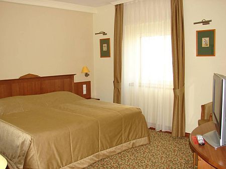 Hotels in Kecskemet - Hotel Aranyhomok