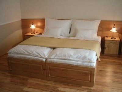 Nefelejcs Hotel Mezokovesd - discounted hotel room with half board