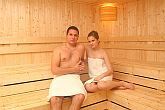 Thermal and wellness hotel in Erd - Finnish sauna in Thermal Hotel Liget